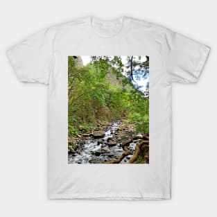 Kinihapai Stream T-Shirt